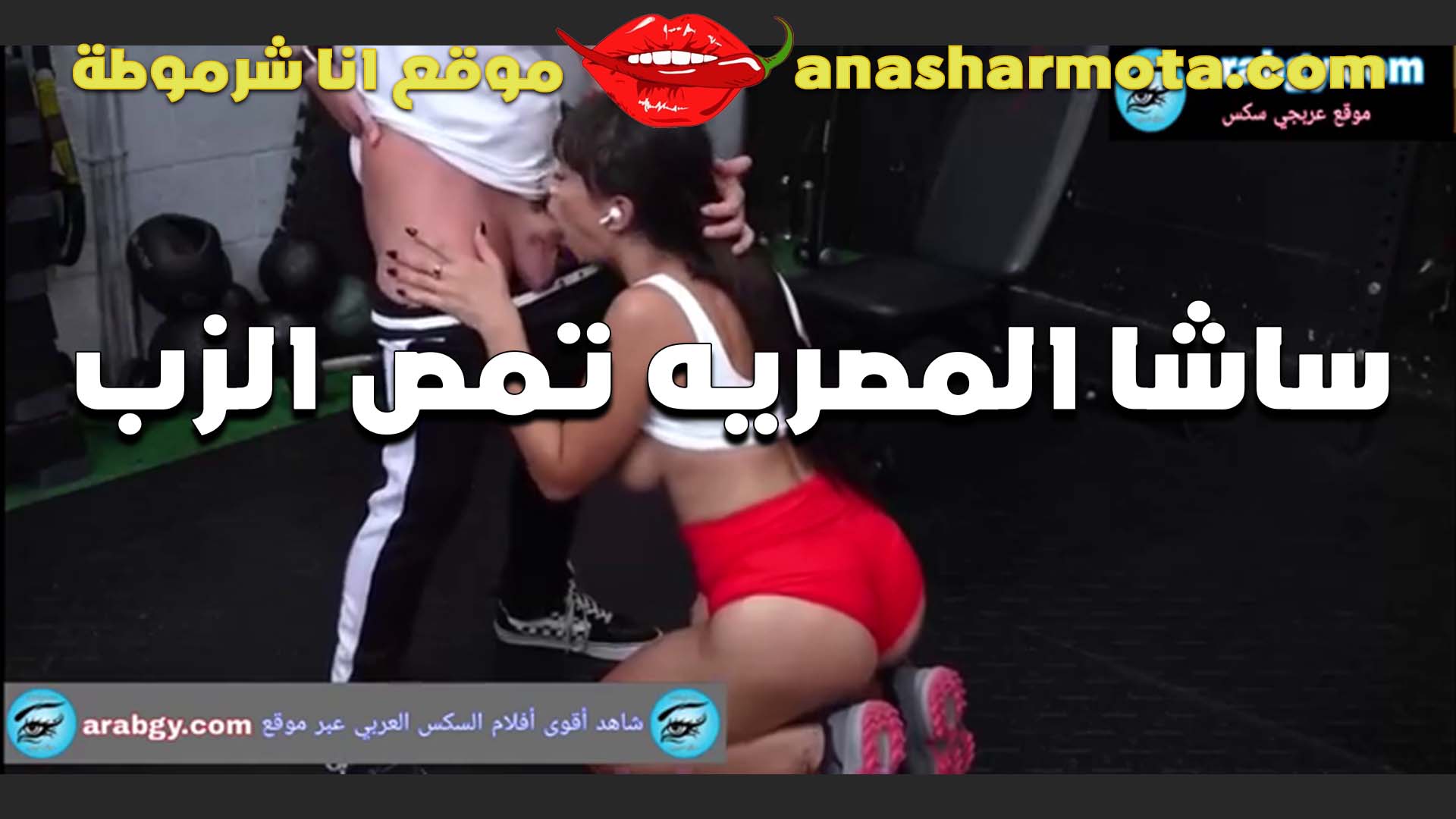 المصريه شاسا سكس نسوان تخينه هيجانه تمص الزب حيحان اوي ولابسه الاندر الاحمر على طيزها يولع اوي
