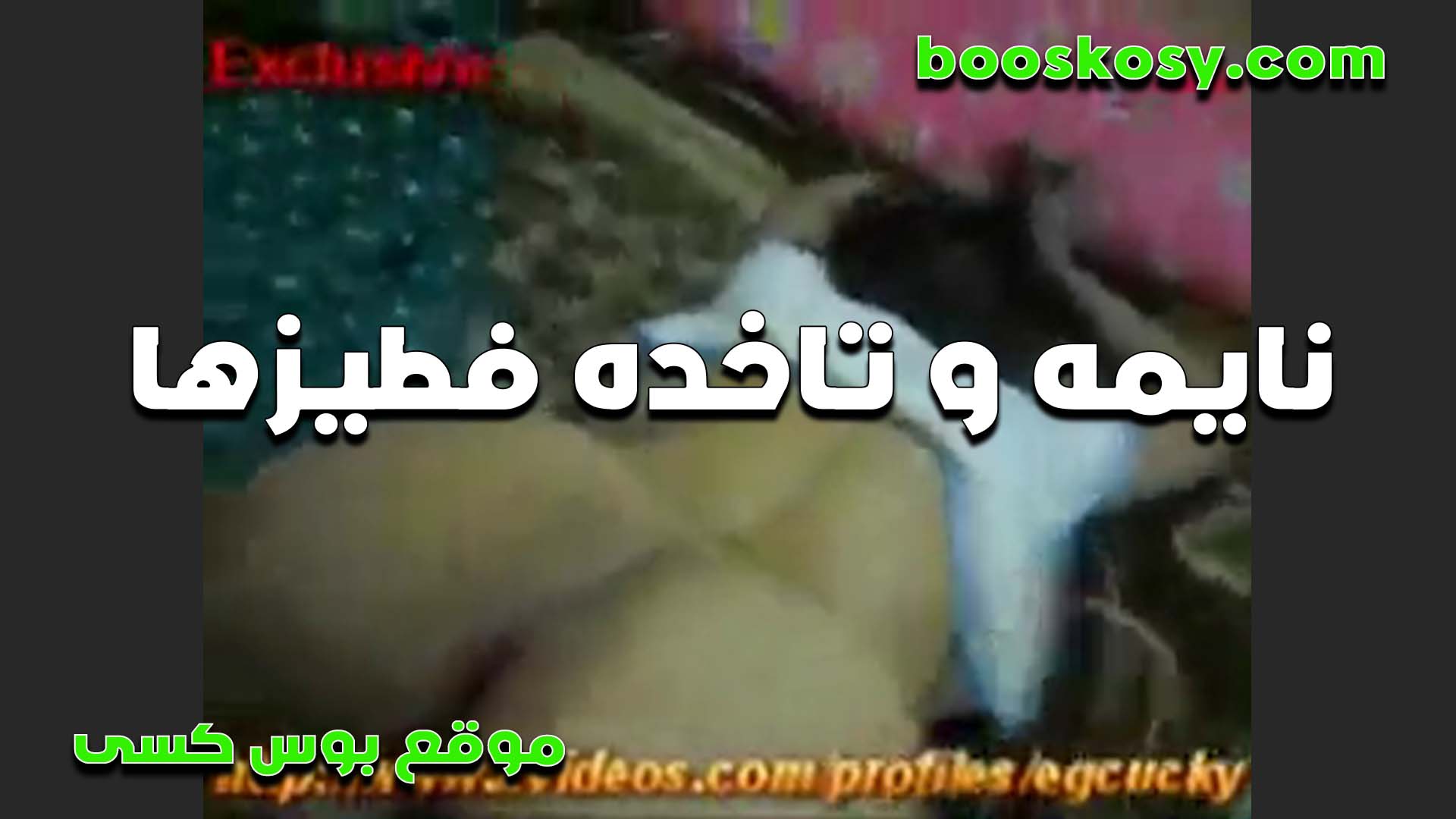 هيجانه نايمه وتاخده سكس مصري فى الشغل في طيزها الشرموطه بتقول هي دي الرجاله ولا بلاش زبك جامد اوي