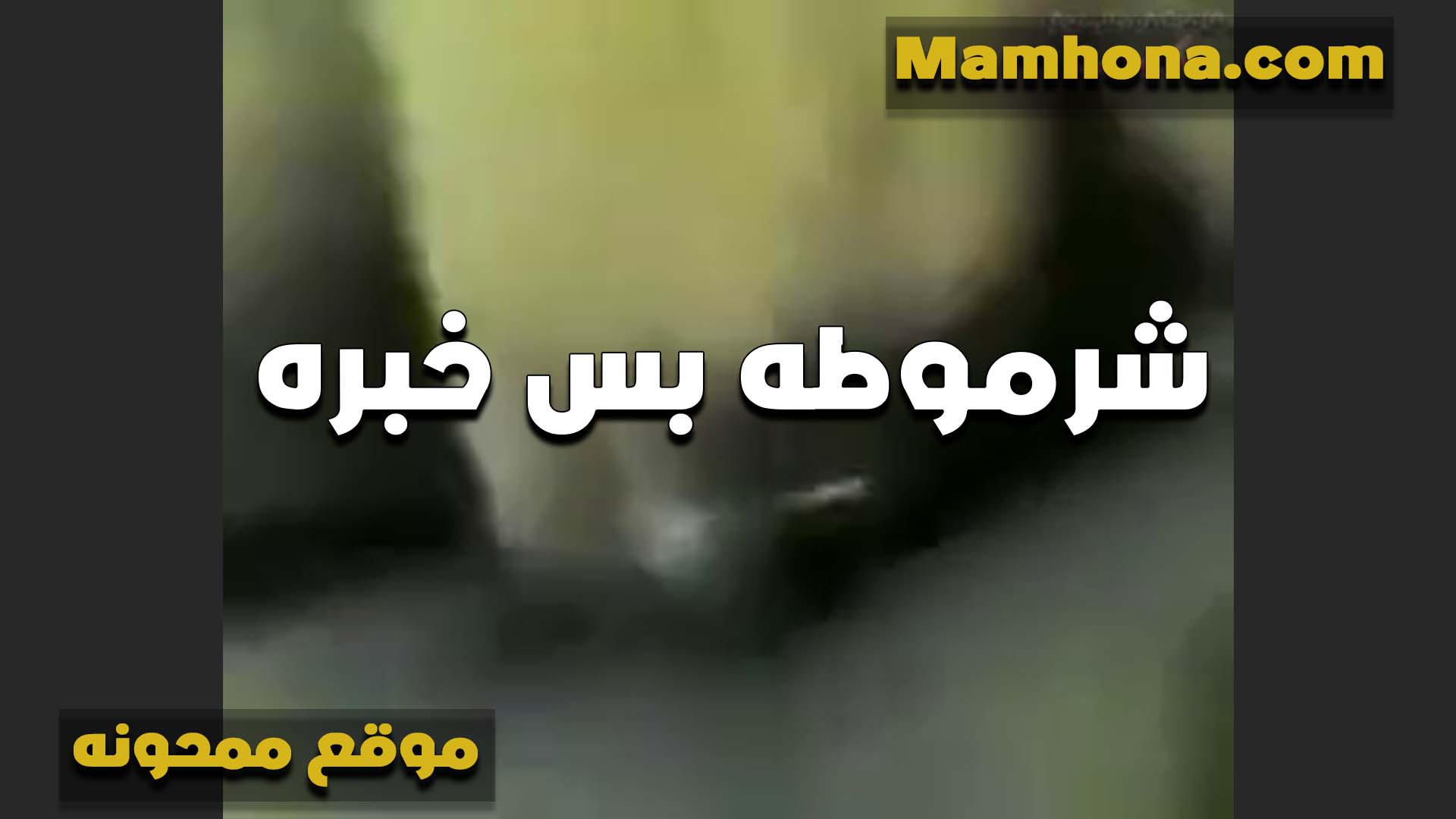 بتتناك بالساعه الشرموطه سكس مصري ينيك خالته تركب على زب الزبون وتمتعه بكسها خبره في النيك الفاجره