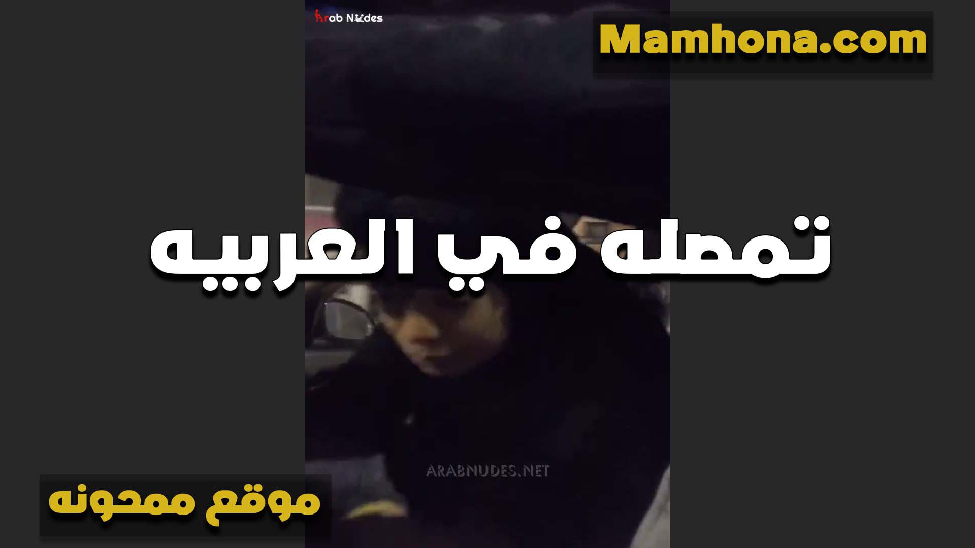 تمص الزب بالنقاب الشرموطه سكس سوداني في العربيه مع الواد والخول هاج اوي عليها وركن على جنب واشتغل نيك في كسها