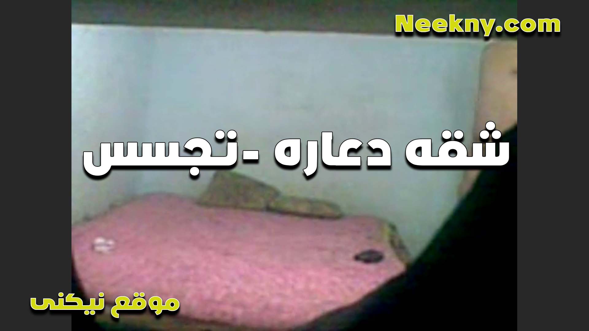 دلعني ونيك براحه مبحبش السرعه والكروته في المواضيع دي احب اتمتع سكس امهات من اللي بينيكني شرموطه في شقه دعاره