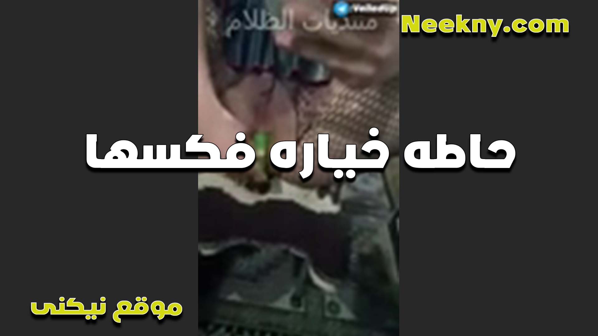 كسي حيحان اوي سكس امهات عاوزله راجل يكون بتاعه نص متر عشان يكيفه اوي وشغاله بالخياره في كسها الشرموطه