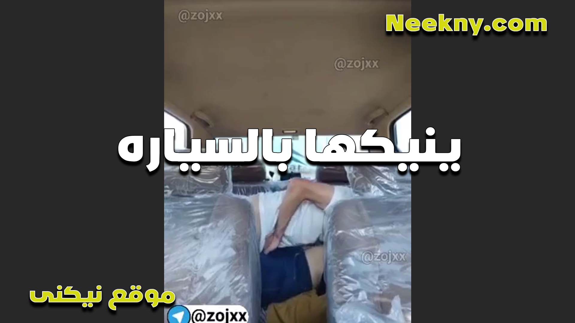 الواد منومها على كراسي العربيه وشغال نيك في كسها بيقولها سكس بنت عمه وطي صوتك يا شرموطه هتفضحينا