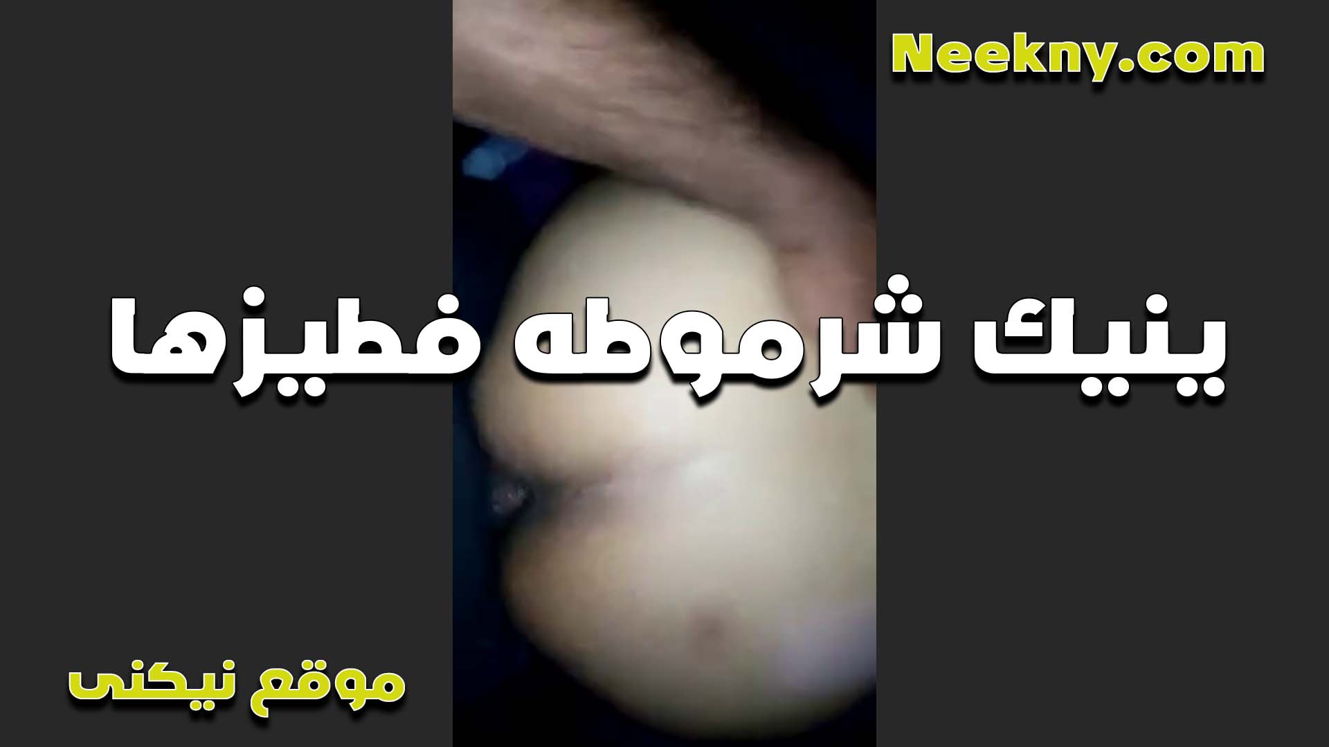 زنقني الخول سكس بوس وفنقسني قدامه واشتغل رزع في الخرم ورمه مش عارفه اقعد على طيزي من كتر النيك