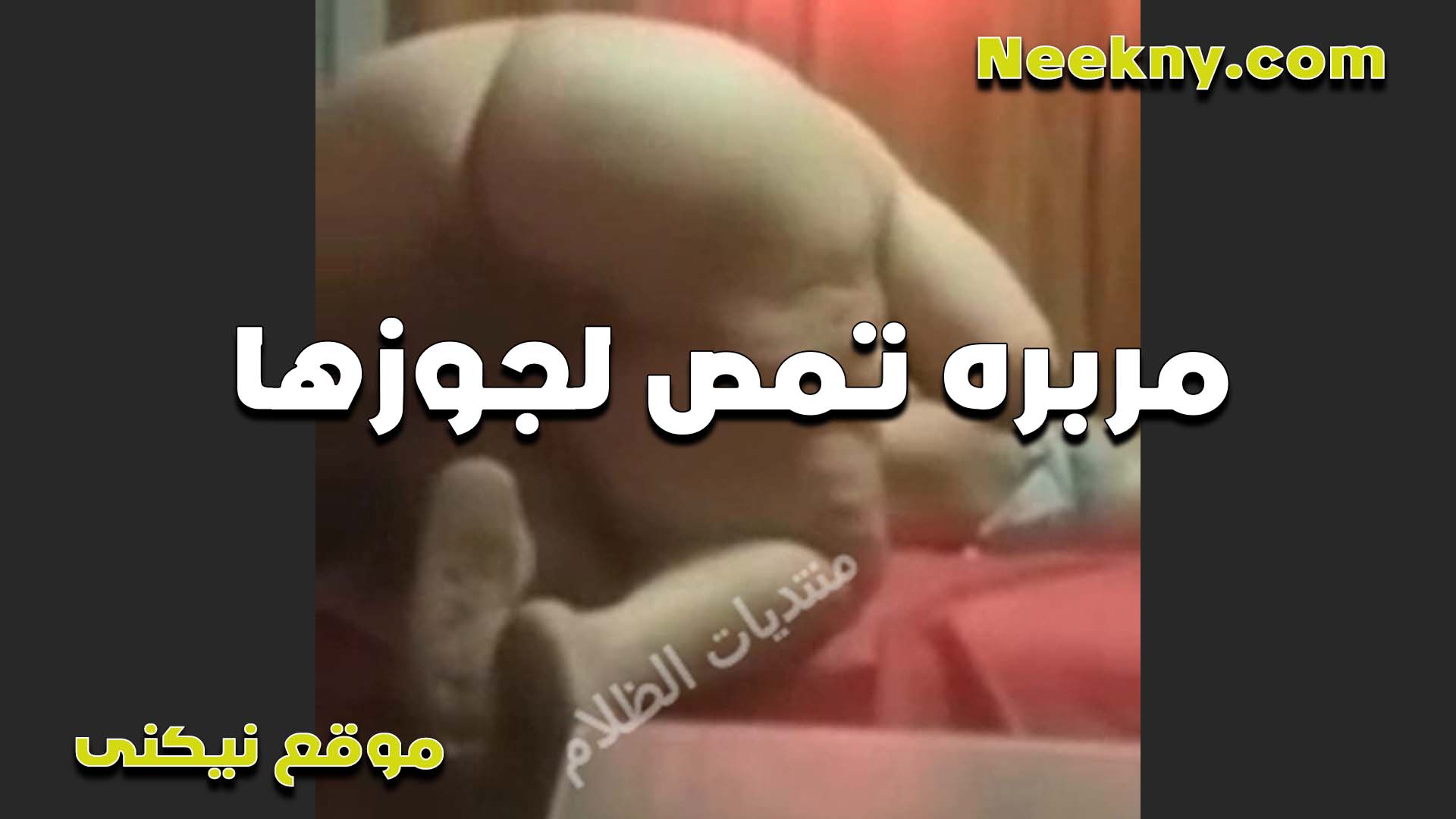 مربربه تمص سكس بوس زب جوزها الشرموطه طيزه زي القشطه وشغاله تلعب في طيزها هي وبتمص