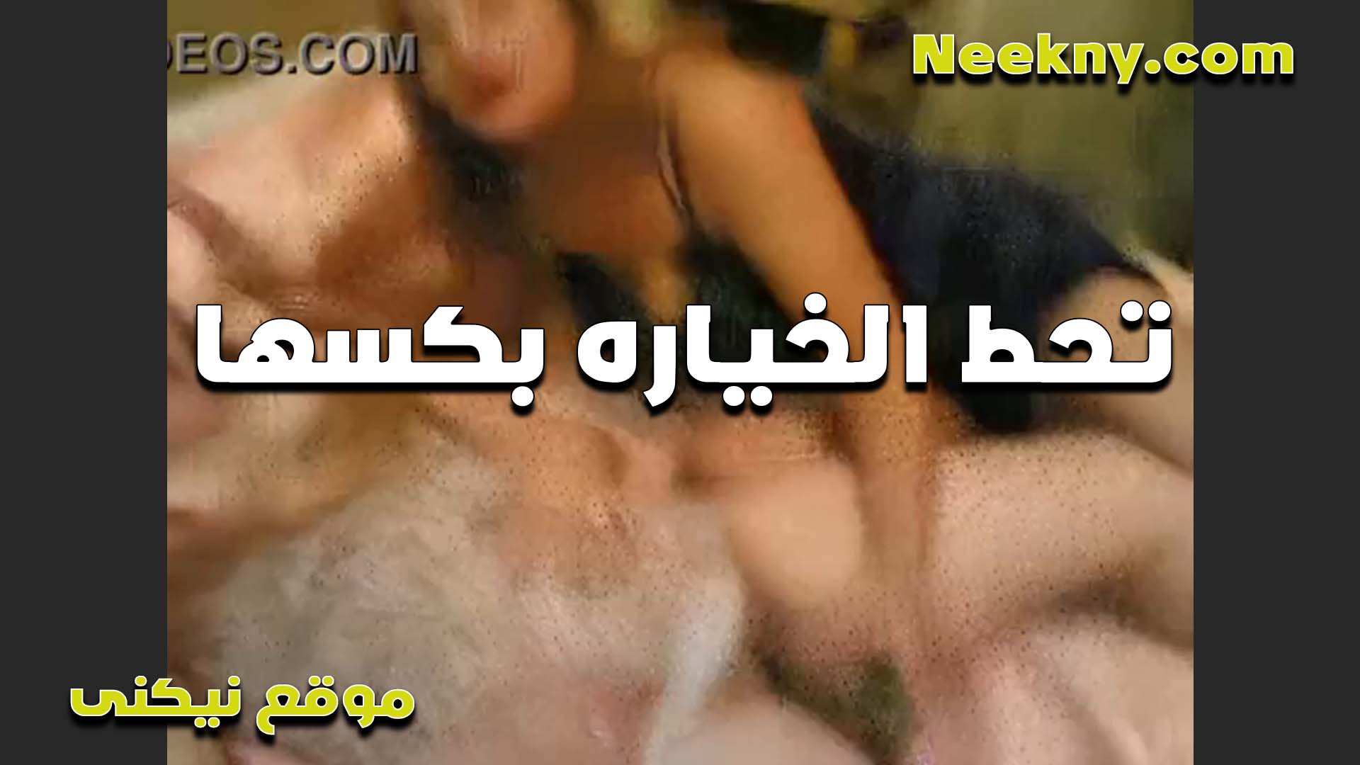 جوزي مش مكيفني الخول وتاركني كده مولعه وبجيب الخياره سكس شرموطة قدامه عشان احطها في كسي واتمتع نيك
