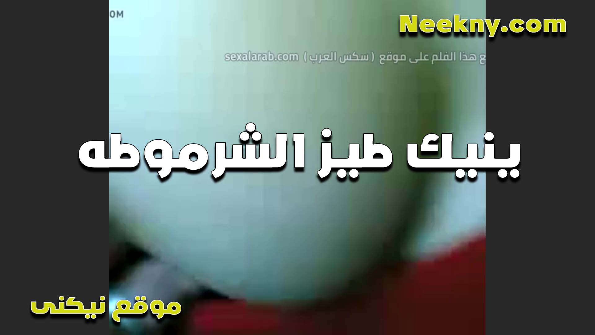 طيز شرموطه مولعه عايزه سكس عراقى شرمها تتفشخ فيها من زب الواد حبيبها بتقوله اشمطها بزك جامد اوي