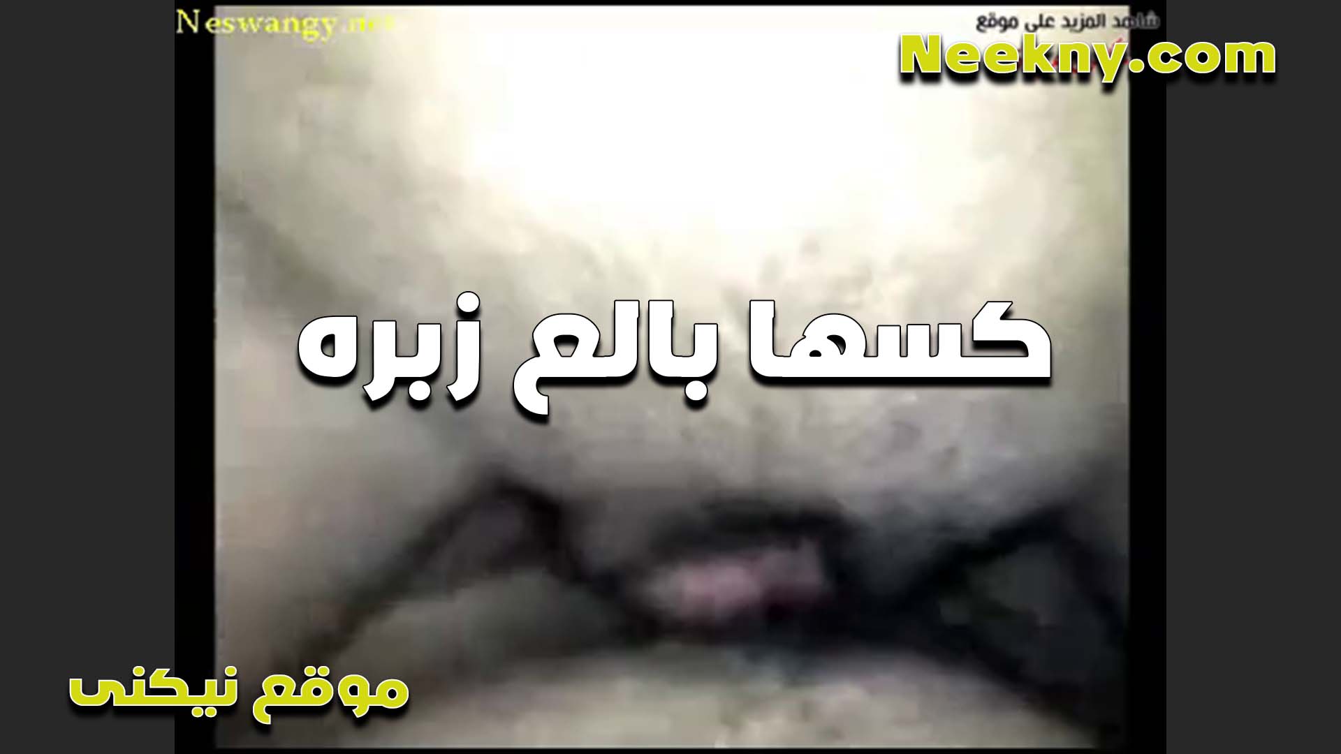 الشرموطه سكس مصر بتقوله لما بصحى ببقى عايزه اتركب على طول بيبقى حلو اوي بتاع الصبح ده
