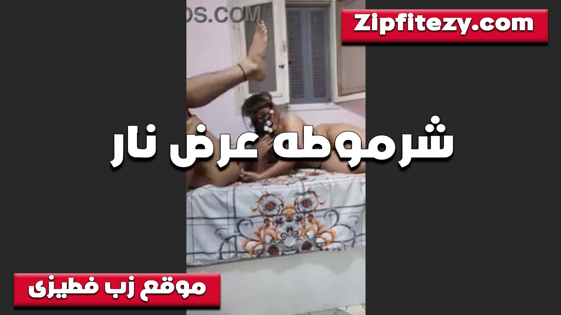 لبوه تستعرض سكس تقفيش مهاراتها في المص الواد متكيف اوي منها وفاتح رجليه وشغاله مص ورضع