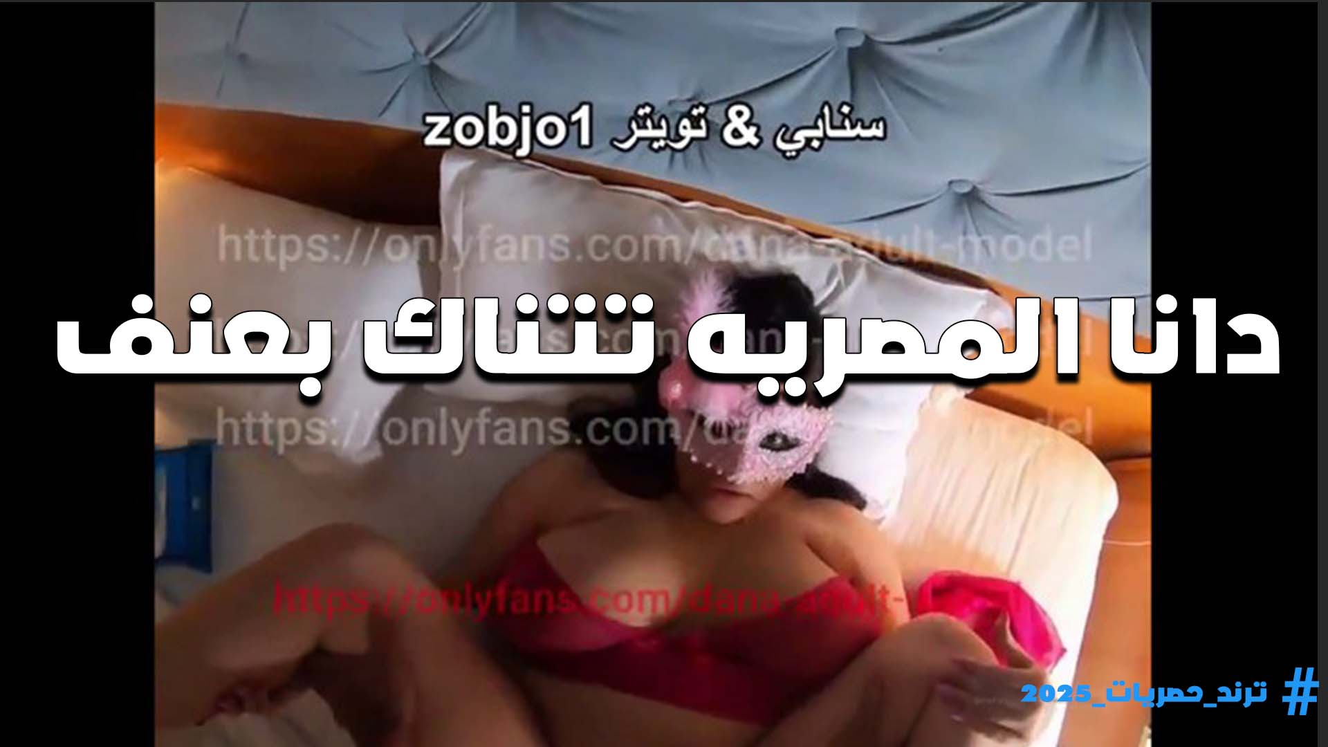 بعنف جامد اوي الشرموطه دانا المصريه تتناك في كسها المولع بتقوله بيوجع بس بيمتع اكتر