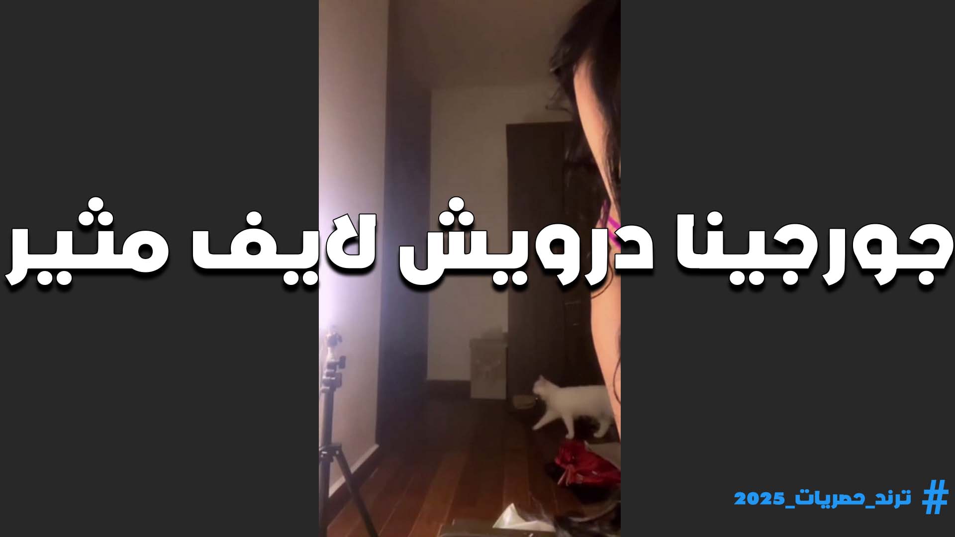بتقول للمتابعين سكس مصري هقلع ملط وارقص عريانه وامتعكم كلكم اللبوه جورجينا درويش سخنت اوي في اللايف