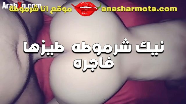 نيك شرموطه طيزها سكس مصري ينيك خالته فاجره تتناك بالكلوت الاحمر شغال رزع في الخرم لما استوى نيك