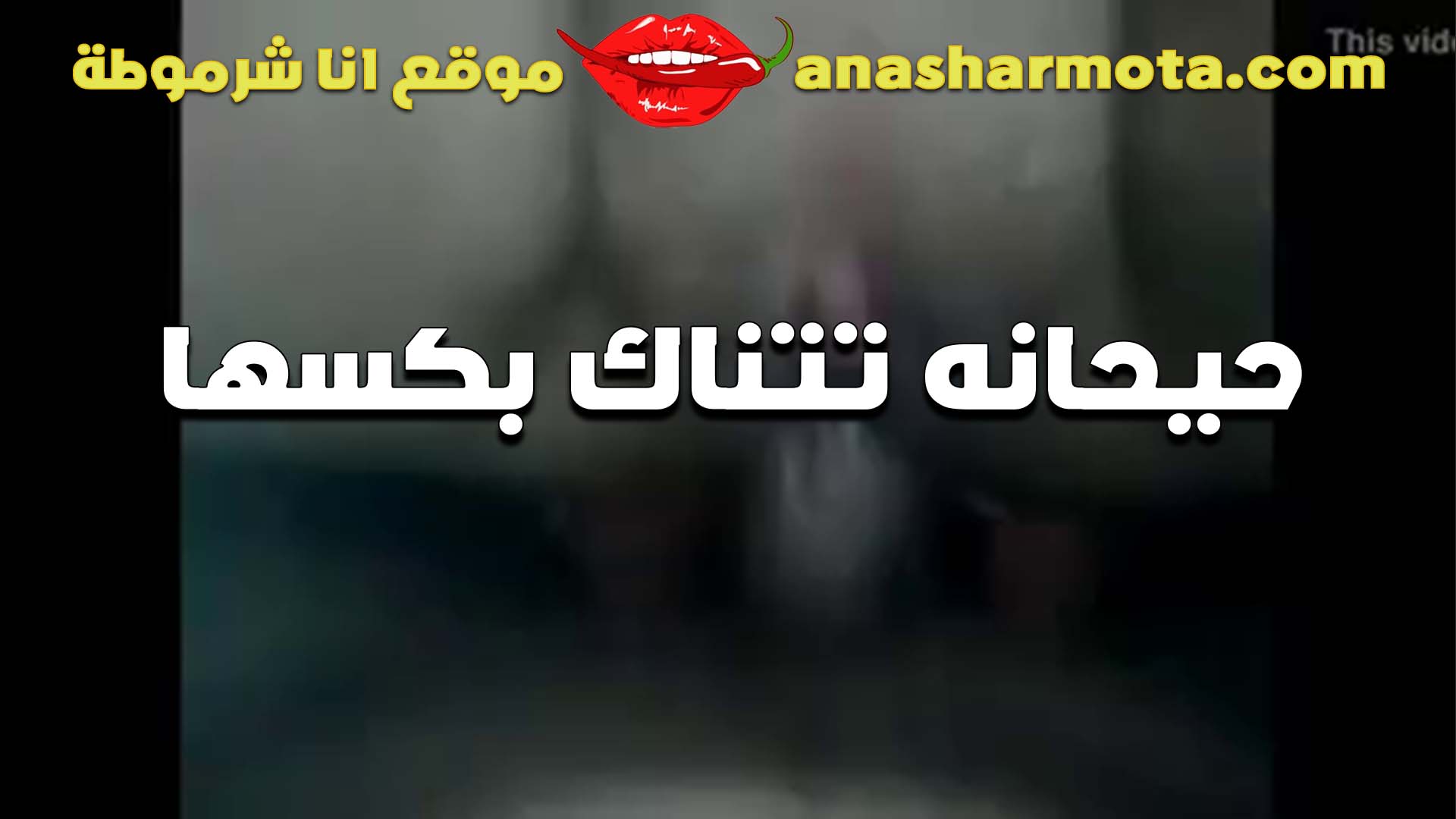 سايبه على نسفها سكس مصري فى الشغل من كتر المتعه الشرموطه بتقوله انا ملكك اعمل كل اللي تحبه فيا