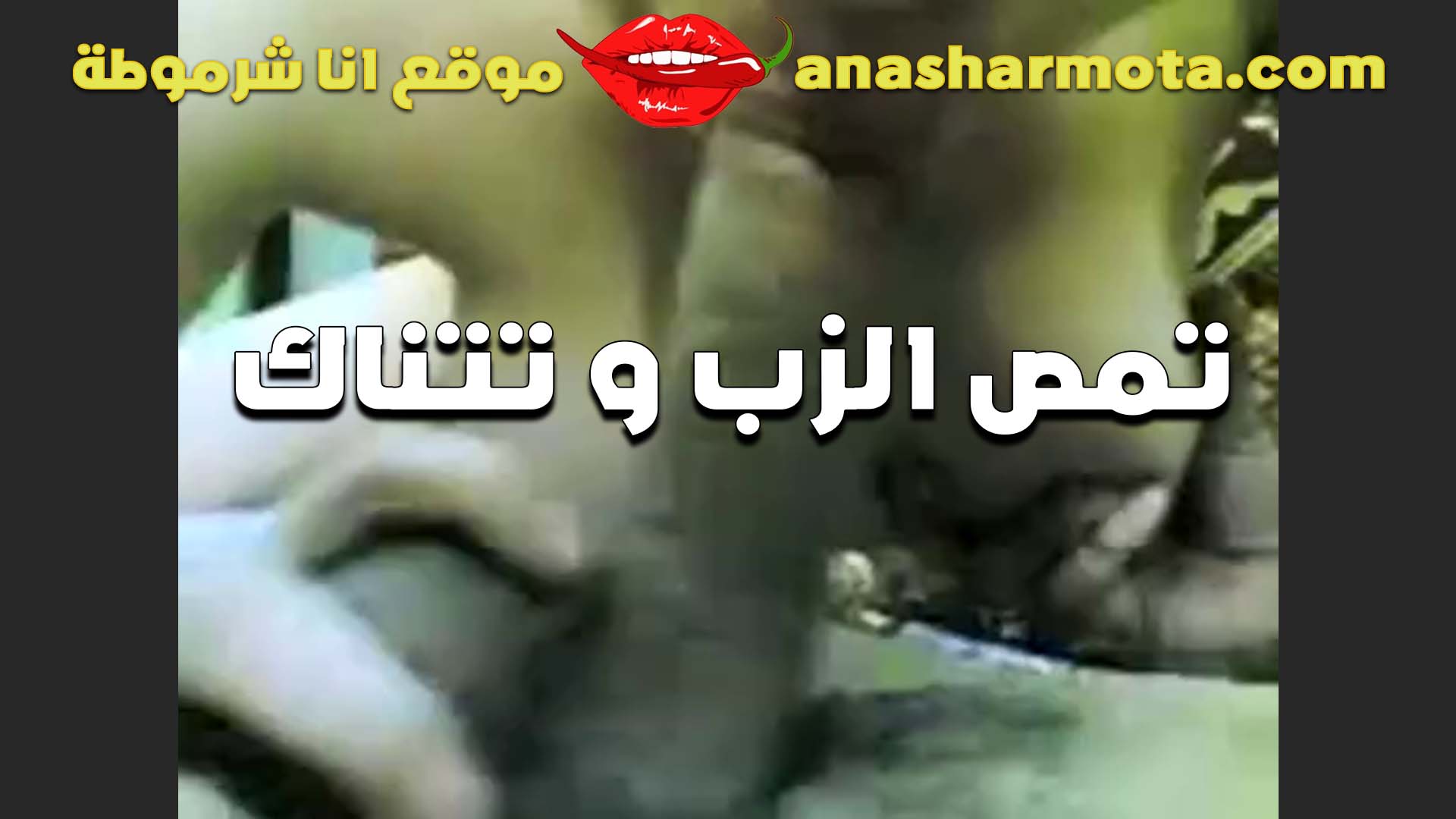 احتراف سكس مصري حصري في مص الزب تمصه بالطول والعرض اللبوه وشغاله مصميص فيه من كل ناحيه
